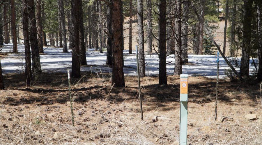 Ground Photo Showing Utility for Meadowside Lot Near Angel Fire Ski