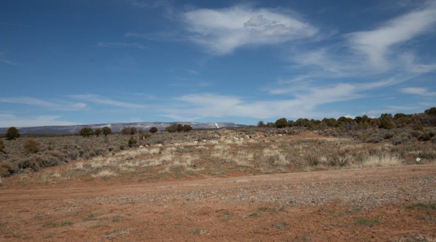 Ground Photo Standing from the Road for Public Hunting Unlimited 40 Ac