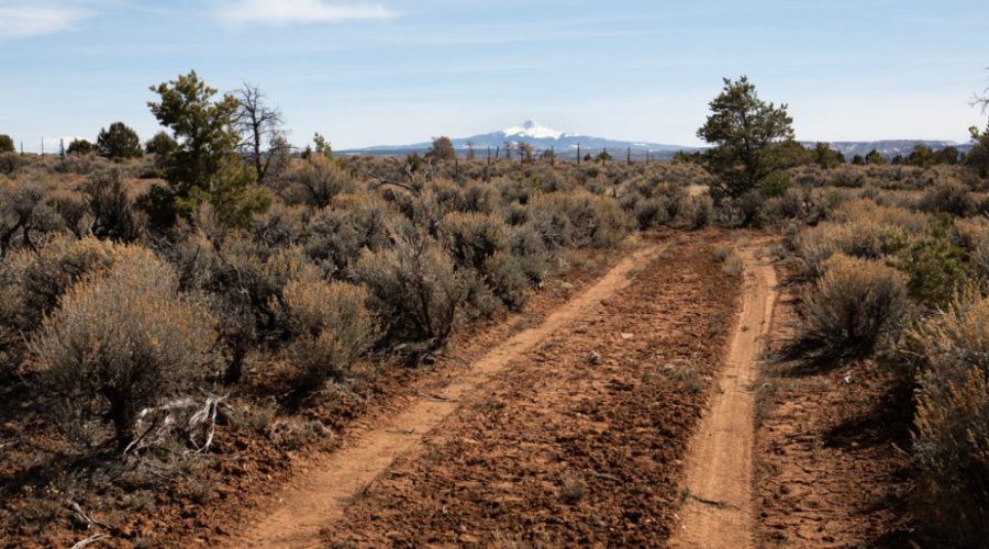 Ground Photo Standing on the Dirt Road for Public Hunting Unlimited 40 Ac