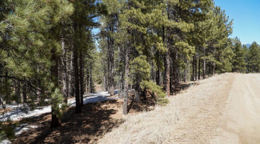 Ground Photo from the Road for Meadowside Lot Near Angel Fire Ski 2