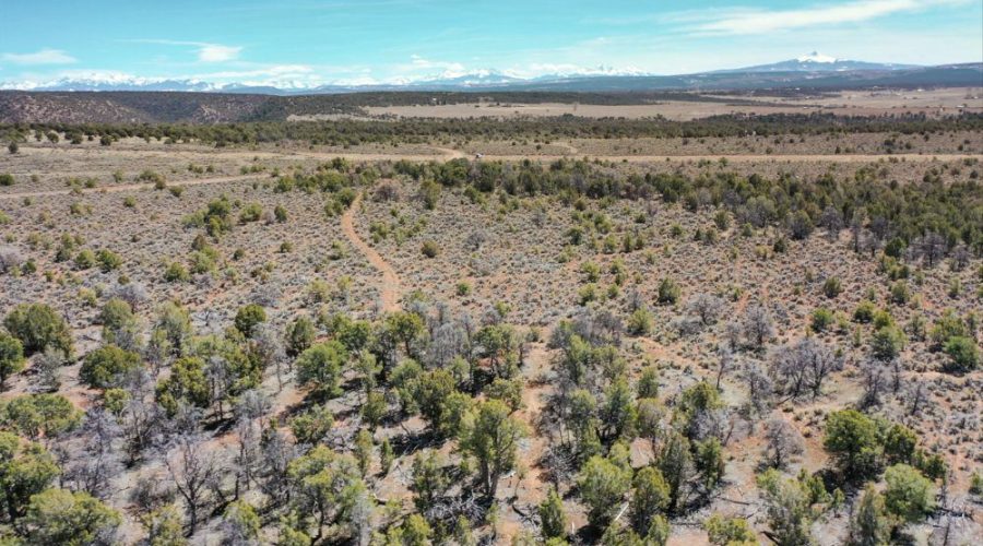 Ground Photo with Mountain View from Behind for Public Hunting Unlimited 40 Ac