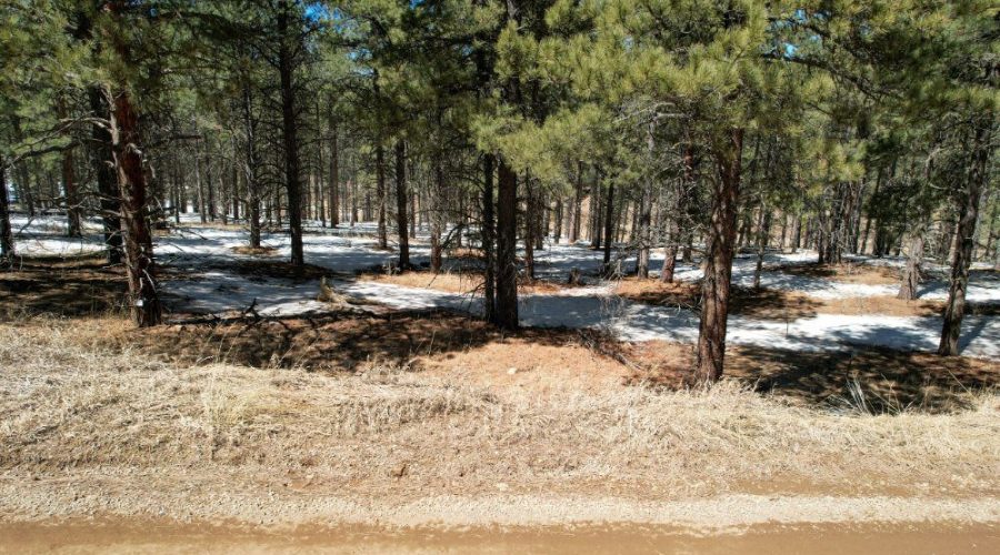 Ground Photos Standing from the Road for Meadowside Lot Near Angel Fire Ski