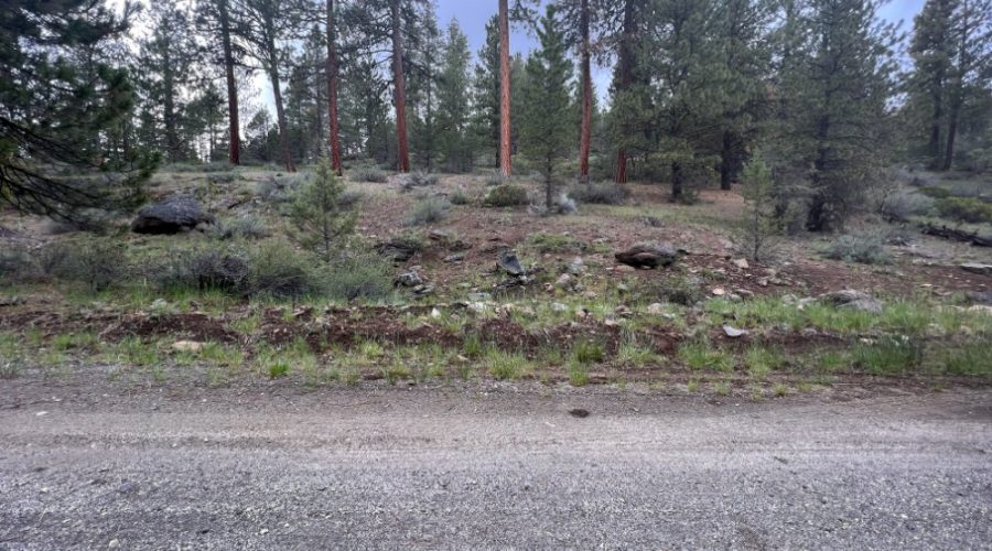 Ground Photo Showing Graveled Road Fronting the Property for Lot 22 Forest Estates Hwy 6