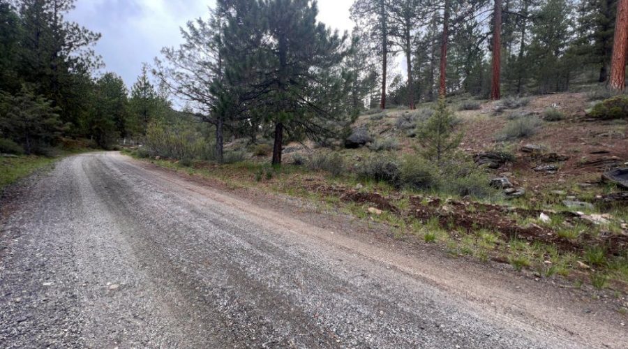 Ground Photo Showing Graveled Road Going to the Property for Lot 22 Forest Estates Hwy 6