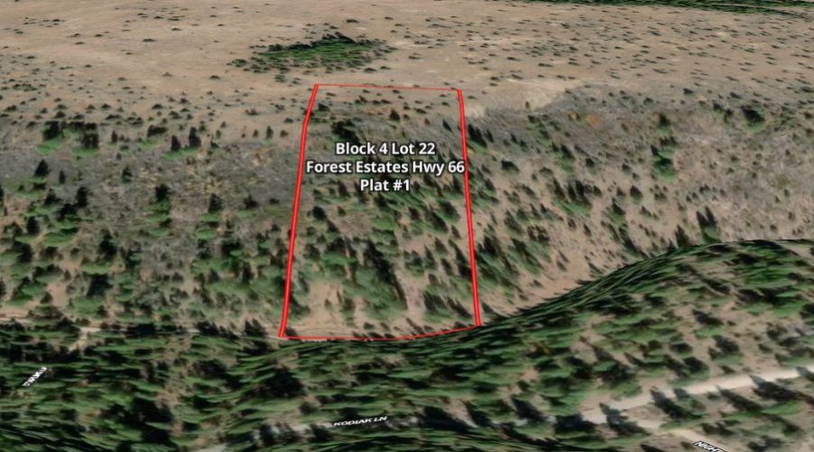 Mapright Map with Label for Lot 22 Forest Estates Hwy 6