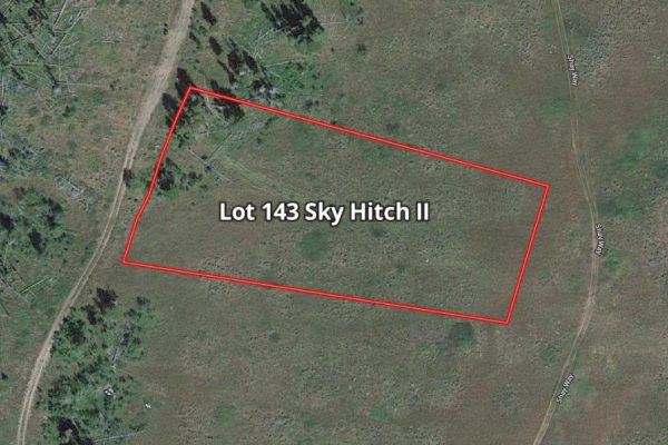 Mapright Map with Parcel Lines for Lot 143 Sky Hitch II At Stagecoach