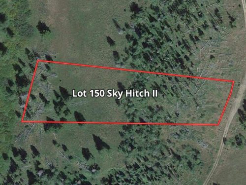 Mapright Map with Parcel Lines for Lot 150 Sky Hitch II At Stagecoach