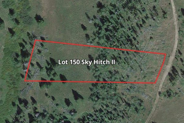 Mapright Map with Parcel Lines for Lot 150 Sky Hitch II At Stagecoach