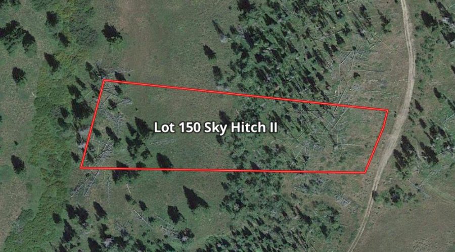 Mapright Map with Parcel Lines for Lot 150 Sky Hitch II At Stagecoach