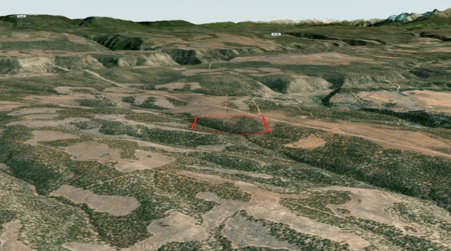 Mapright Map 3D Photo for Public Hunting Unlimited 40 Ac