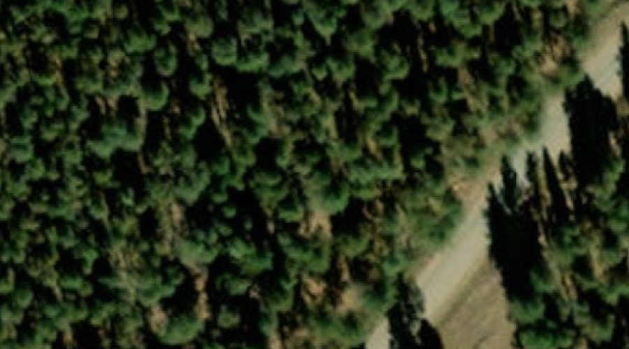 Mapright Wetland Map for Meadowside Lot Near Angel Fire Ski