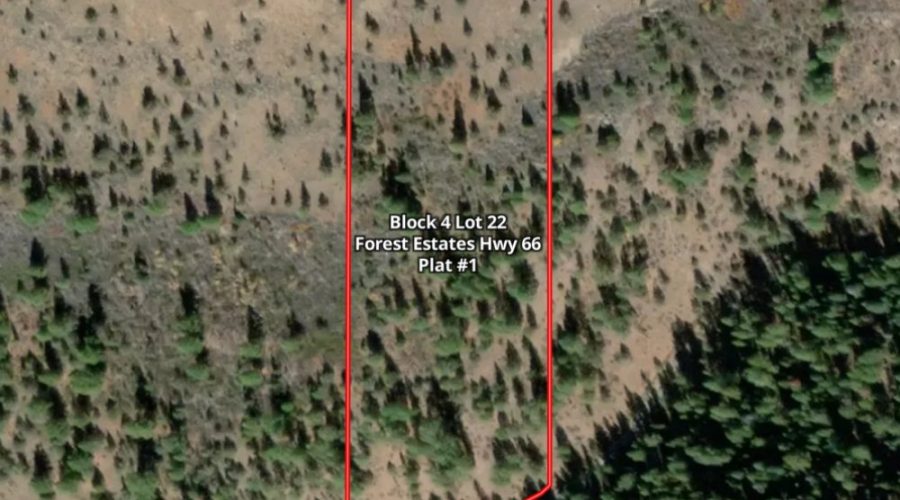Mapright Map with Parcel Lines for Lot 22 Forest Estates Hwy 6