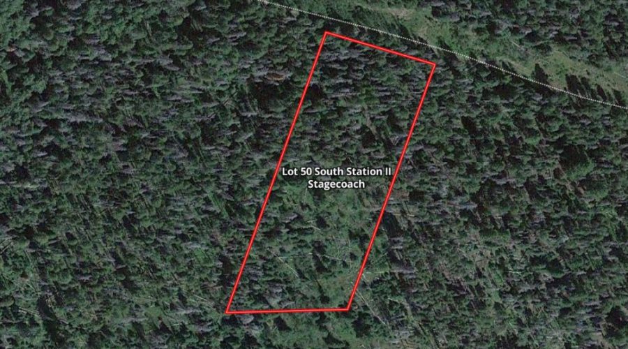 Mapright Map with Parcel Lines for Lot 50 Prime Stagecoach Cabin Lot