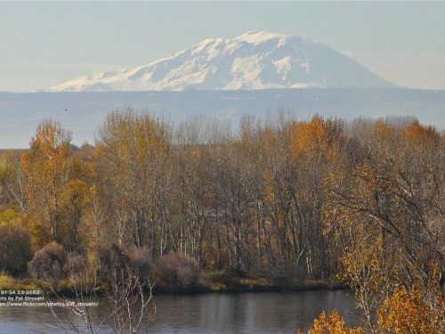 Mt Adams:Yakima Valley