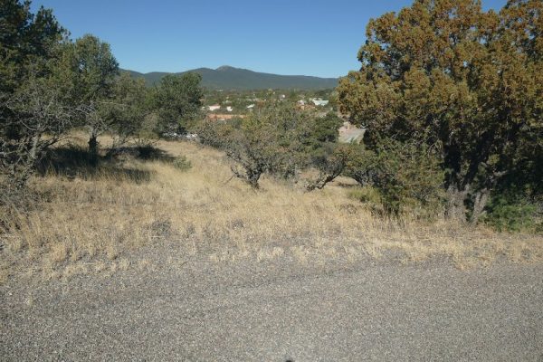 Ground Photo Showing the Road for Prime Location & View, Silver City 4