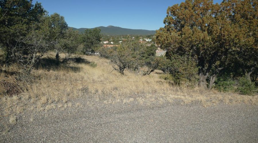 Ground Photo Showing the Road for Prime Location & View, Silver City 4