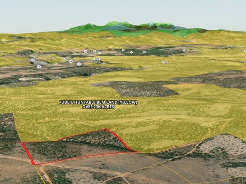 Photo Showing Public Land Nearby for Public Hunting Unlimited 40 Ac 4