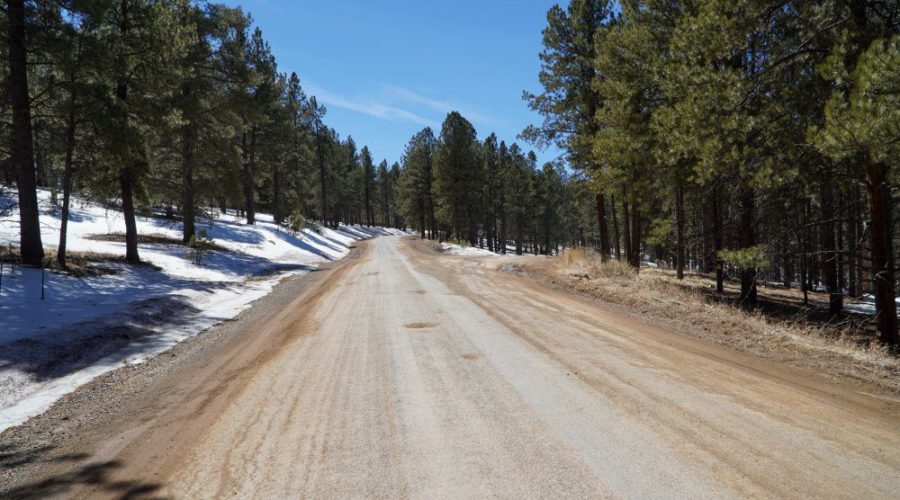 Photo of Valle Grande Trail Going to Meadowside Lot Near Angel Fire Ski
