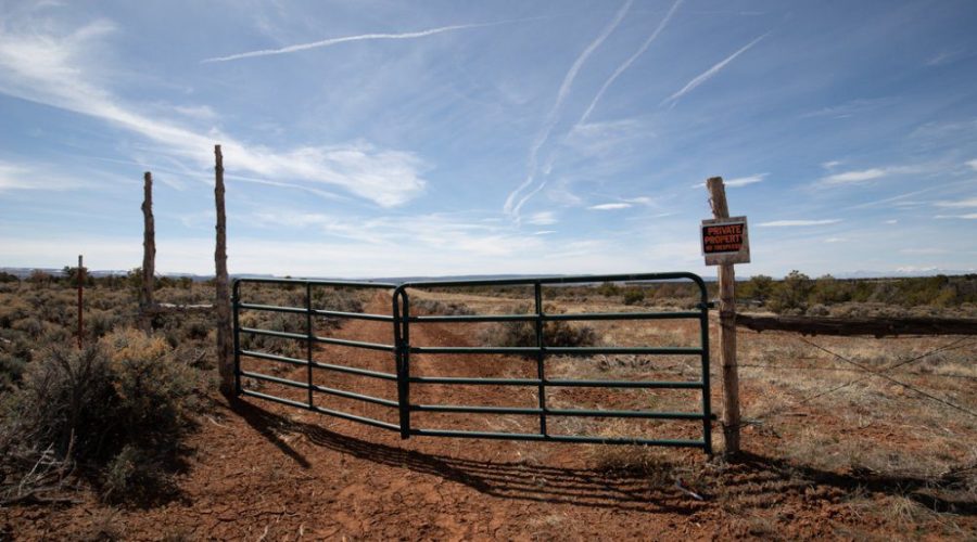 Photo of the Property from the Gate for Public Hunting Unlimited 40 Ac