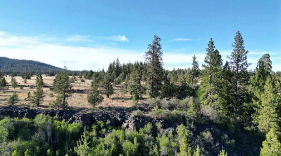Photo_1080295440_DJI_16_jpg_6512261_0_2022710183742_photo_original.jpg