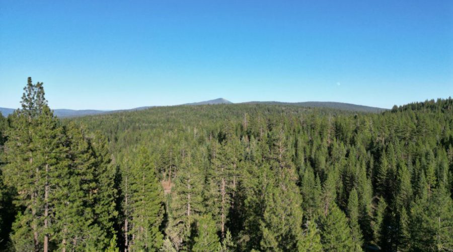 Photo_1080295443_DJI_19_jpg_5748343_0_2022710183914_photo_original.jpg