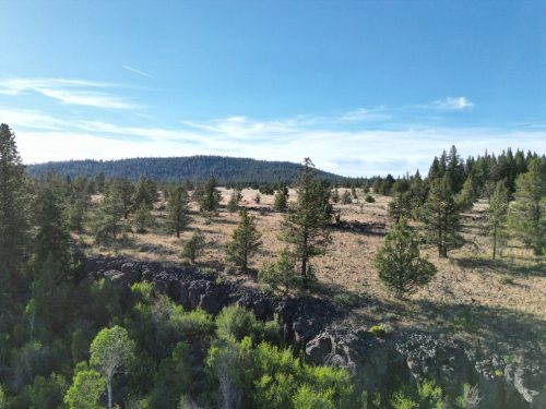 Photo_1080295445_DJI_21_jpg_5546481_0_2022710183934_photo_original.jpg