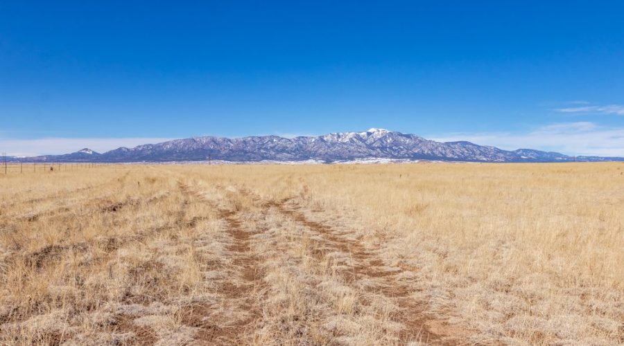 Ground Photo with Mountain Background for Pristine 35 Acre So CO Ranchland