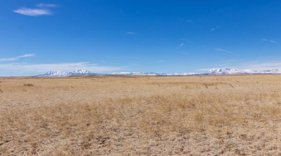 Ground Photo with Mountain Background for Pristine 35 Acre So CO Ranchland 2