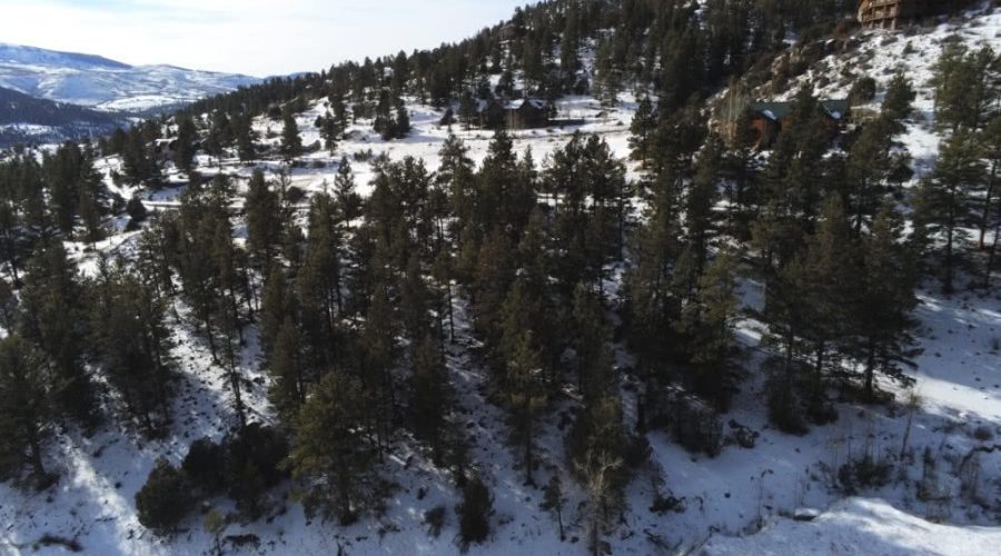 Aerial Photo Showing Adjacent Neighbors for Lot 50, South Fork Ranches 2