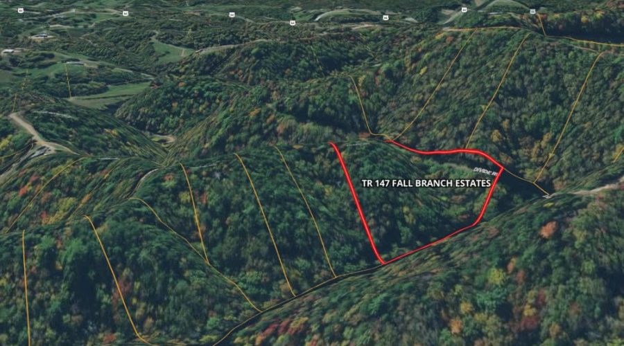 Mapright 3D Map with Parcel Lines for Tract 147, Fall Branch Estates