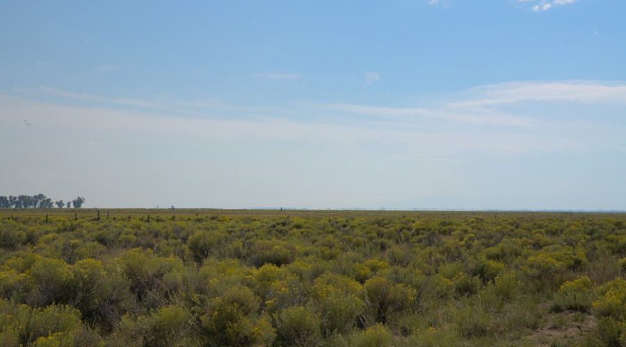 South view Baca Wildlife Refuge